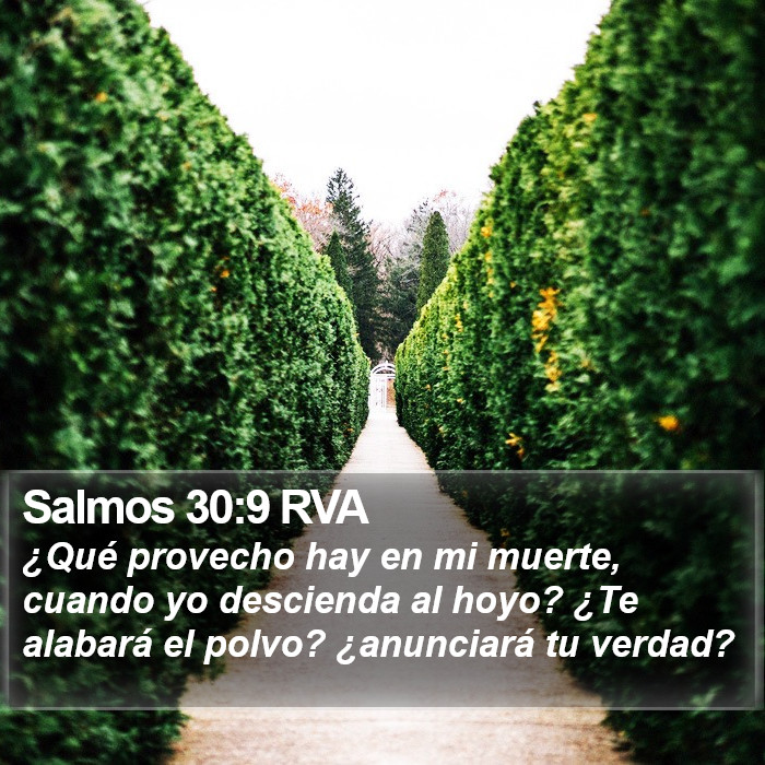 Salmos 30:9 RVA Bible Study