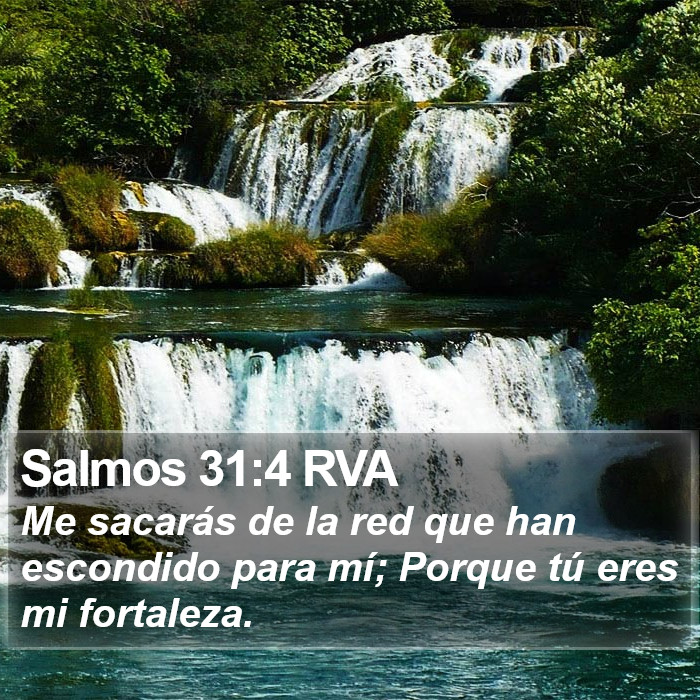 Salmos 31:4 RVA Bible Study