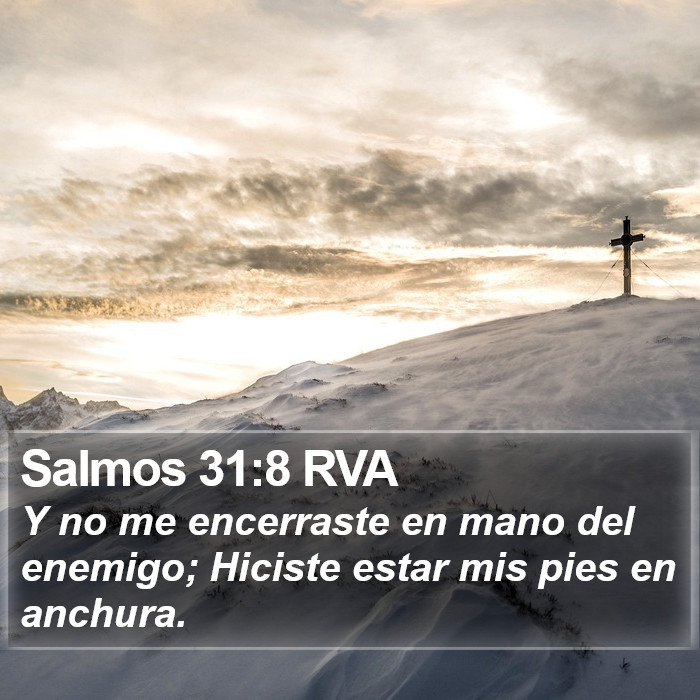 Salmos 31:8 RVA Bible Study