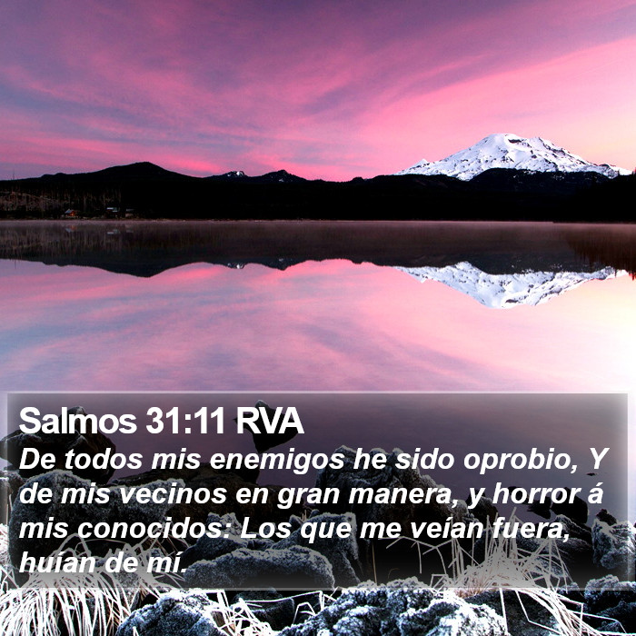 Salmos 31:11 RVA Bible Study