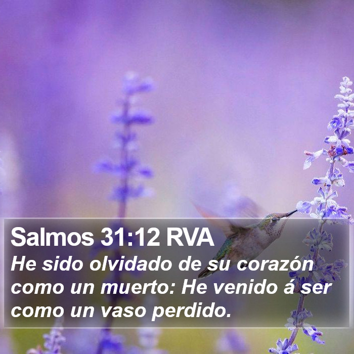 Salmos 31:12 RVA Bible Study