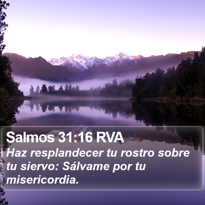 Salmos 31:16 RVA Bible Study