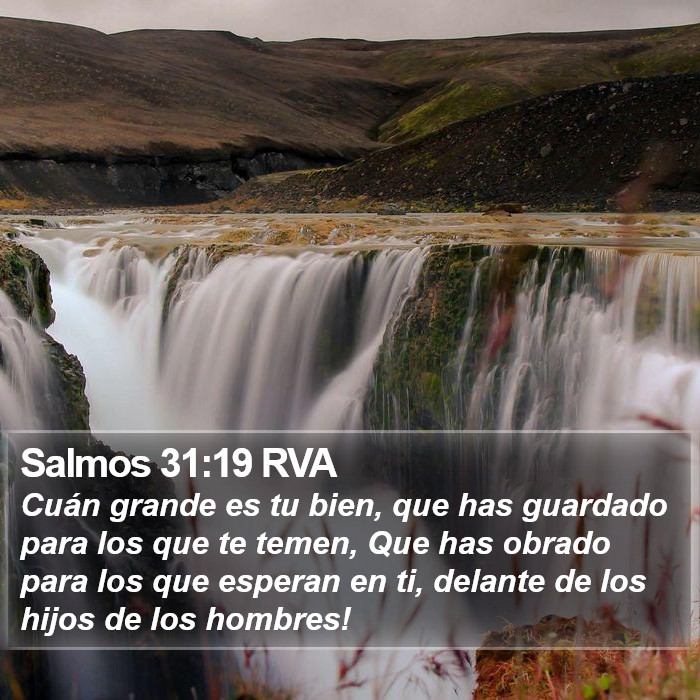 Salmos 31:19 RVA Bible Study