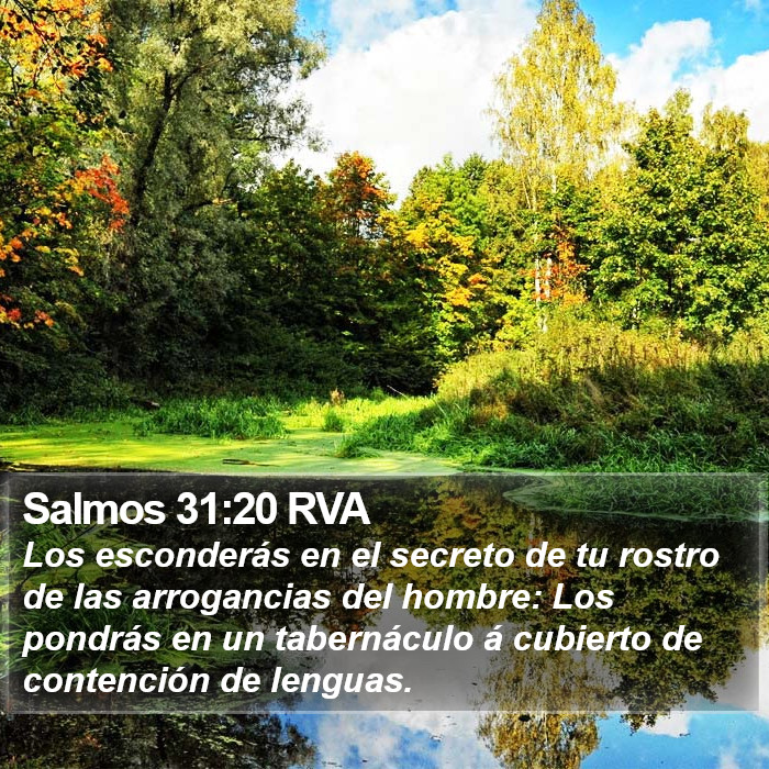 Salmos 31:20 RVA Bible Study