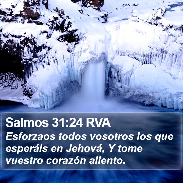 Salmos 31:24 RVA Bible Study