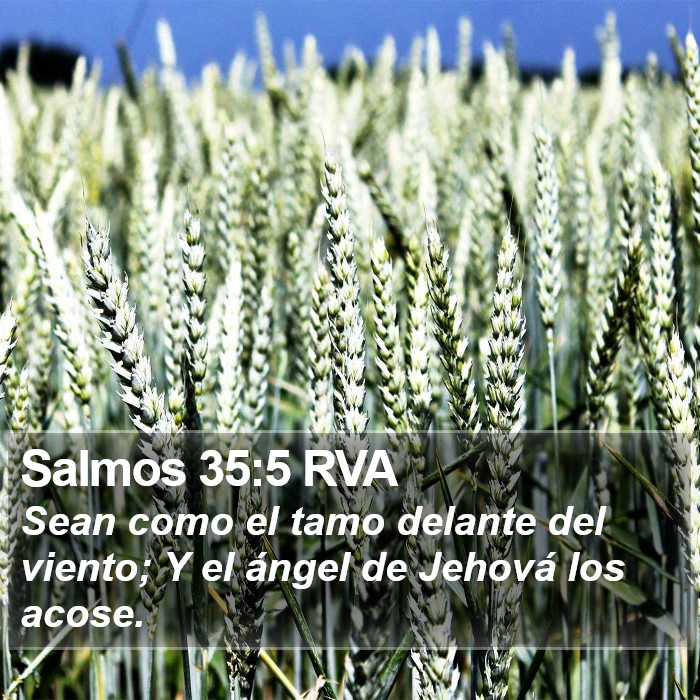 Salmos 35:5 RVA Bible Study