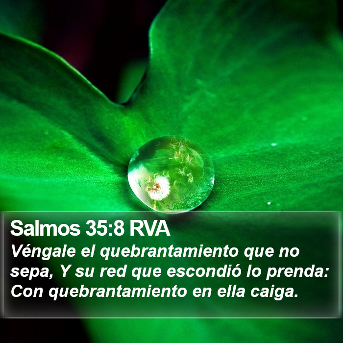 Salmos 35:8 RVA Bible Study