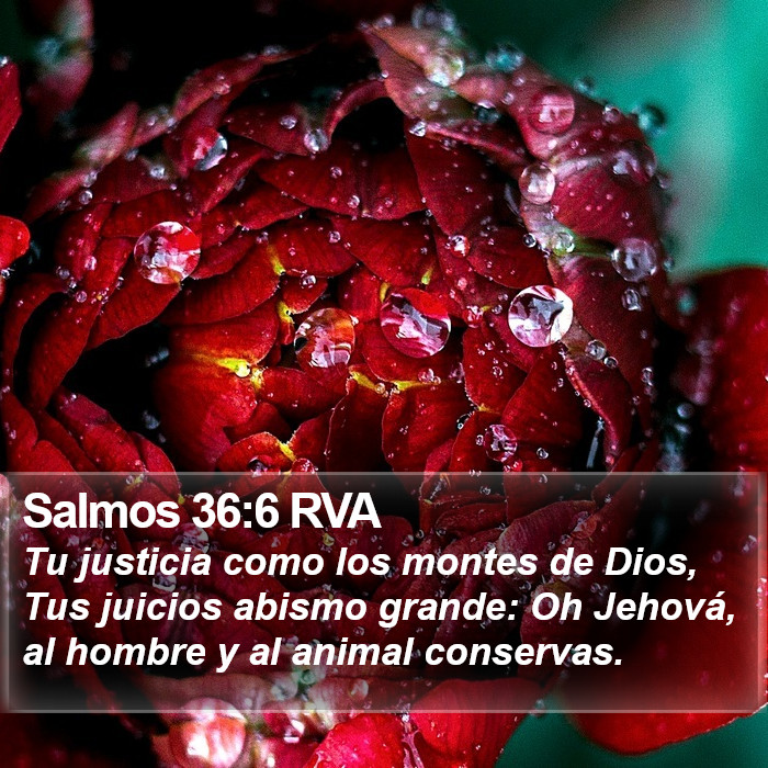 Salmos 36:6 RVA Bible Study