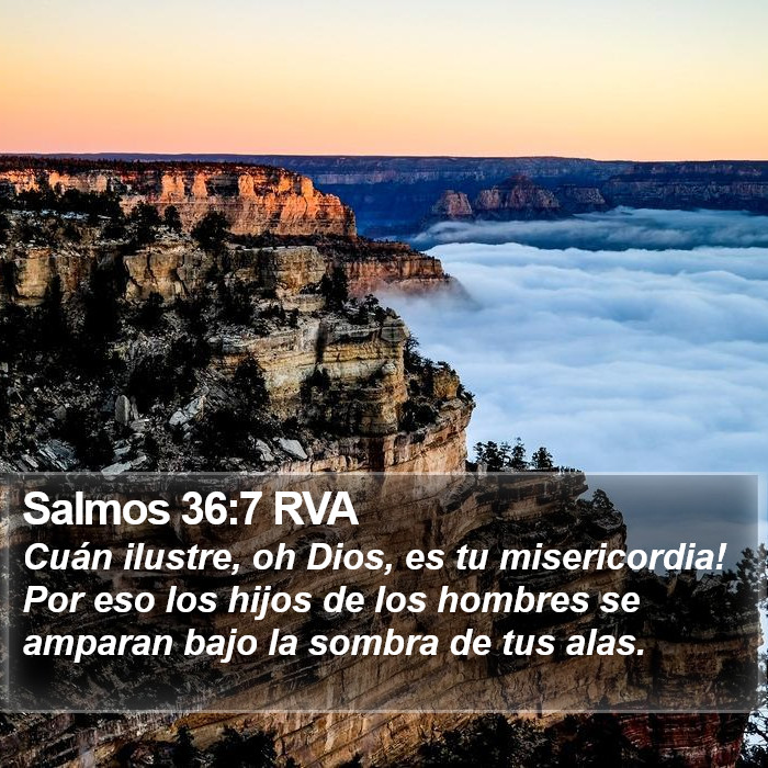 Salmos 36:7 RVA Bible Study