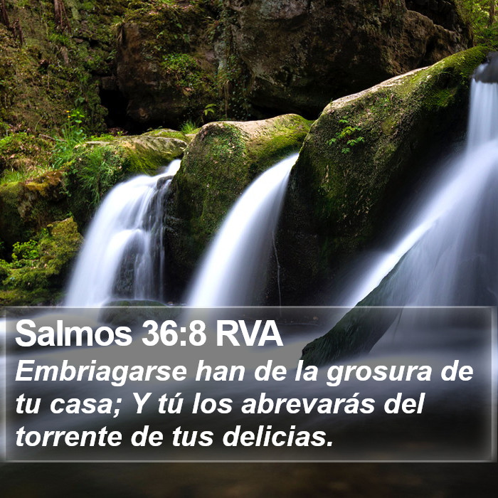 Salmos 36:8 RVA Bible Study