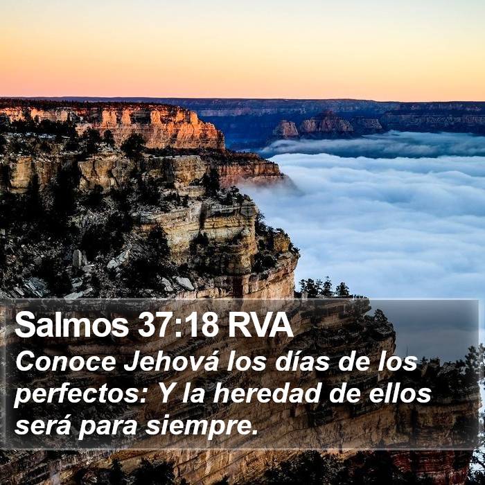 Salmos 37:18 RVA Bible Study