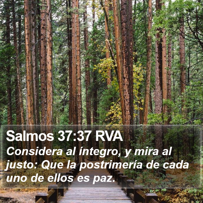 Salmos 37:37 RVA Bible Study