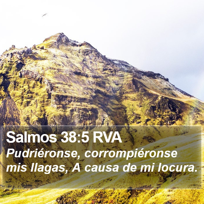 Salmos 38:5 RVA Bible Study