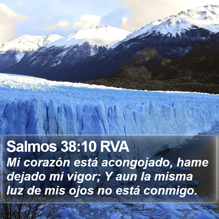 Salmos 38:10 RVA Bible Study