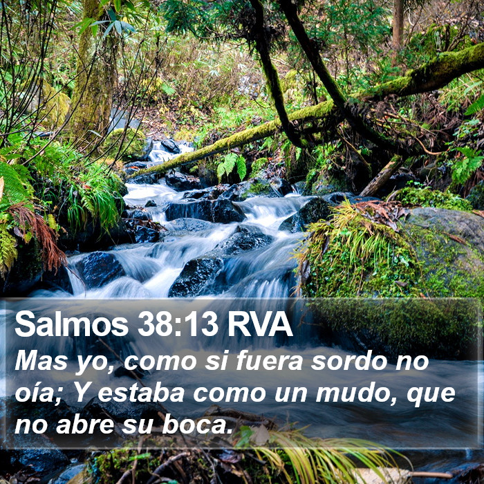 Salmos 38:13 RVA Bible Study