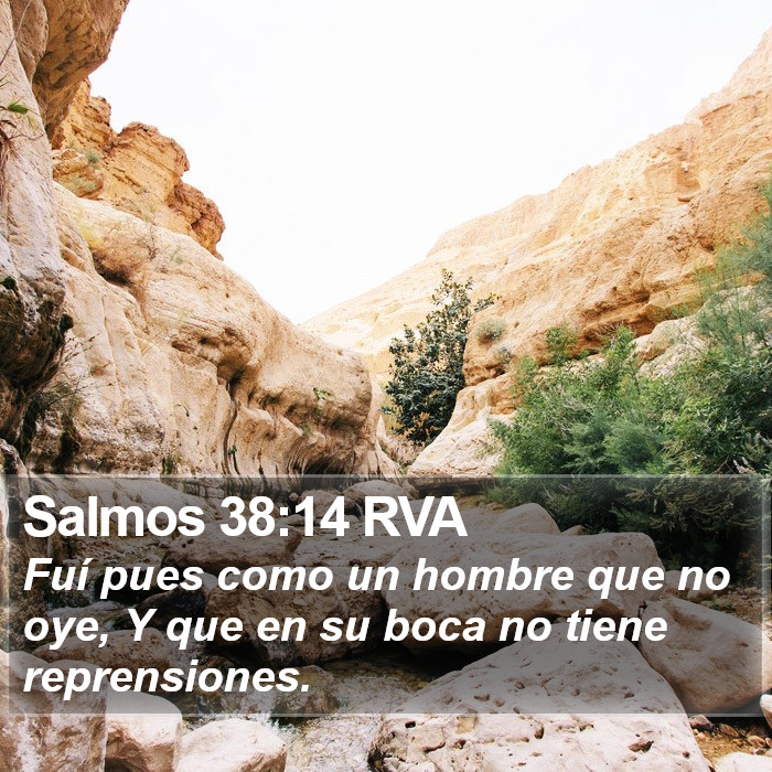 Salmos 38:14 RVA Bible Study