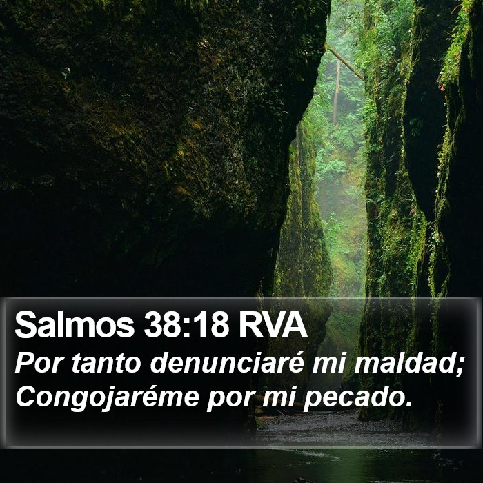 Salmos 38:18 RVA Bible Study