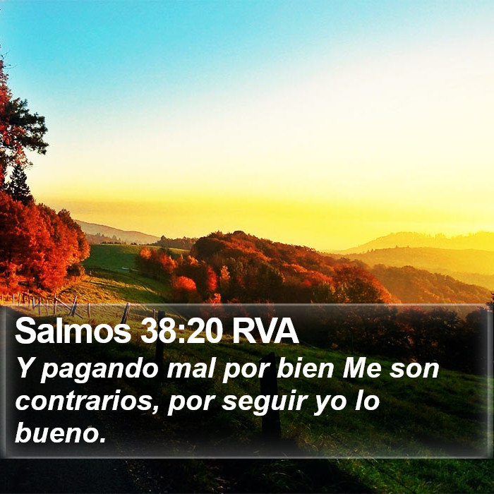 Salmos 38:20 RVA Bible Study