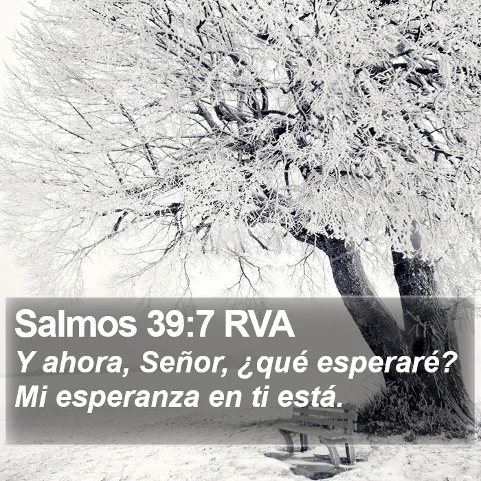 Salmos 39:7 RVA Bible Study