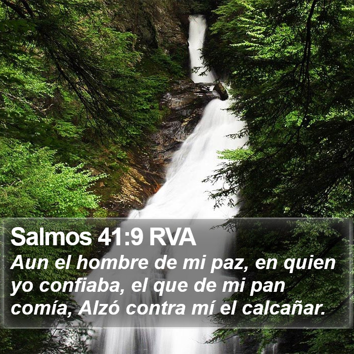 Salmos 41:9 RVA Bible Study