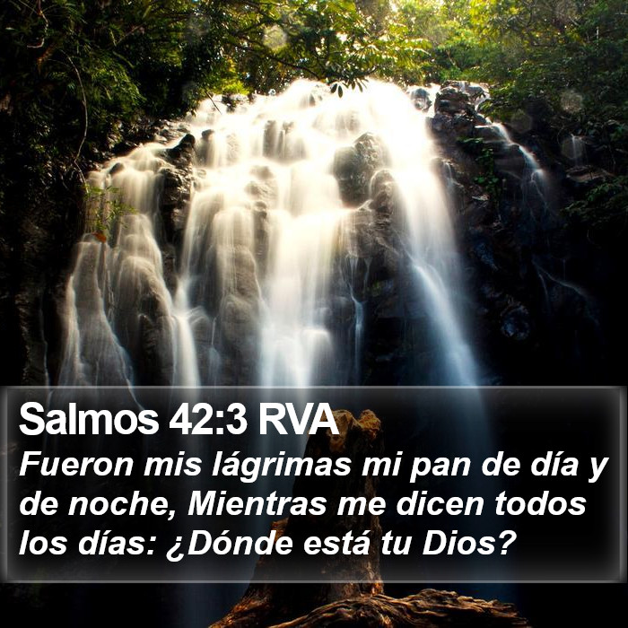 Salmos 42:3 RVA Bible Study