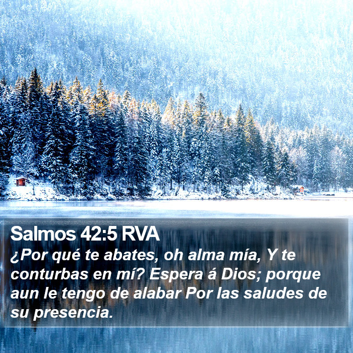 Salmos 42:5 RVA Bible Study