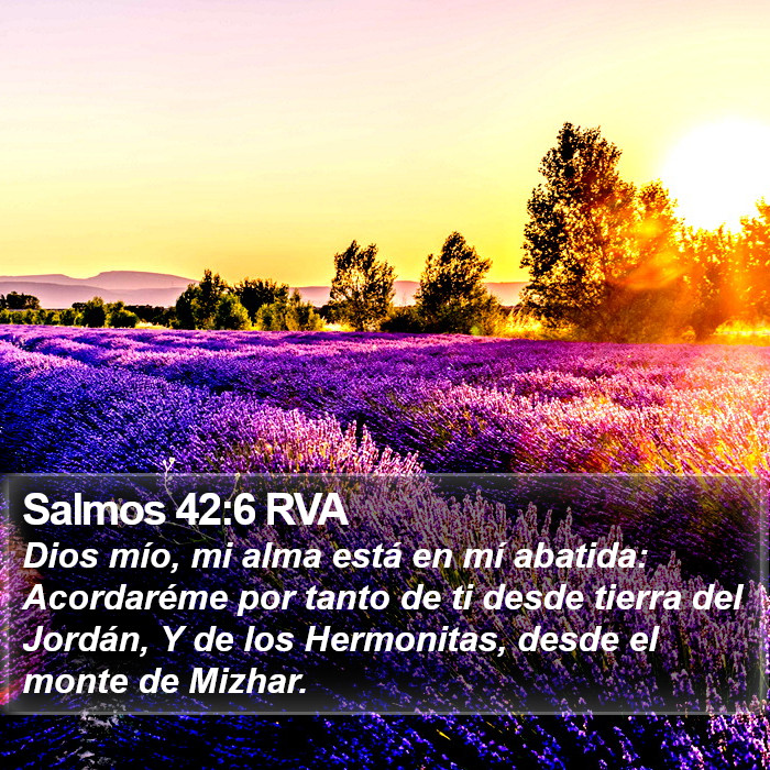 Salmos 42:6 RVA Bible Study