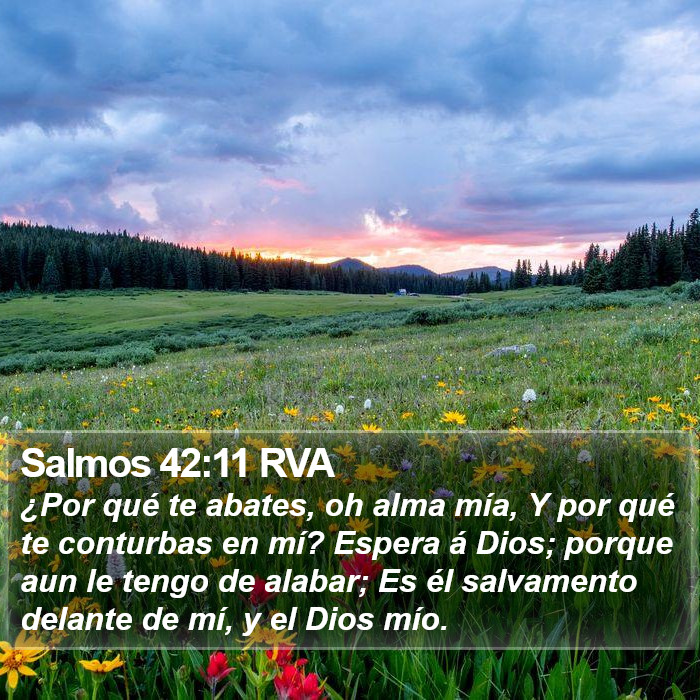 Salmos 42:11 RVA Bible Study