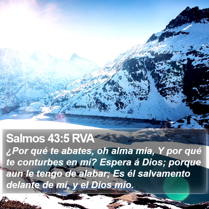 Salmos 43:5 RVA Bible Study