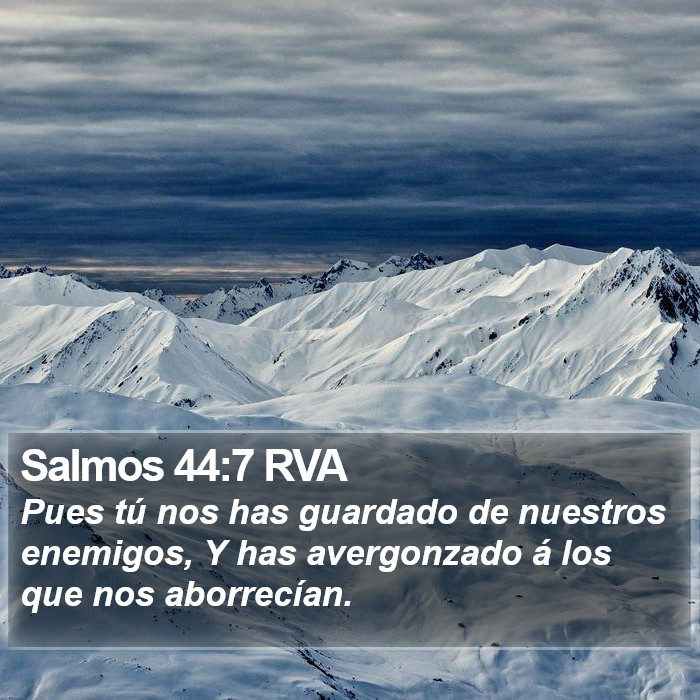 Salmos 44:7 RVA Bible Study