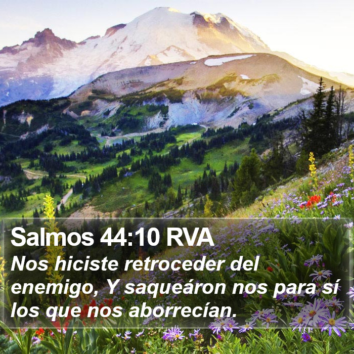 Salmos 44:10 RVA Bible Study