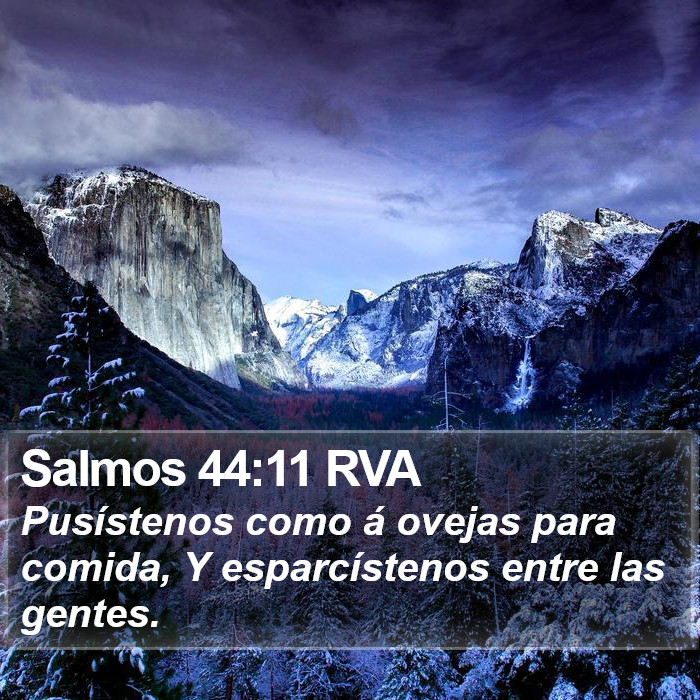 Salmos 44:11 RVA Bible Study