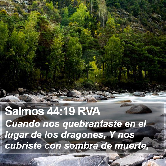 Salmos 44:19 RVA Bible Study