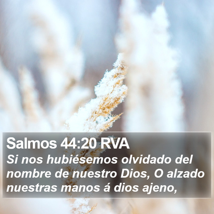 Salmos 44:20 RVA Bible Study