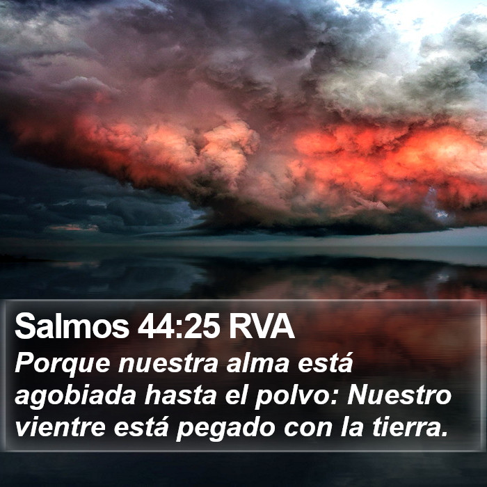 Salmos 44:25 RVA Bible Study