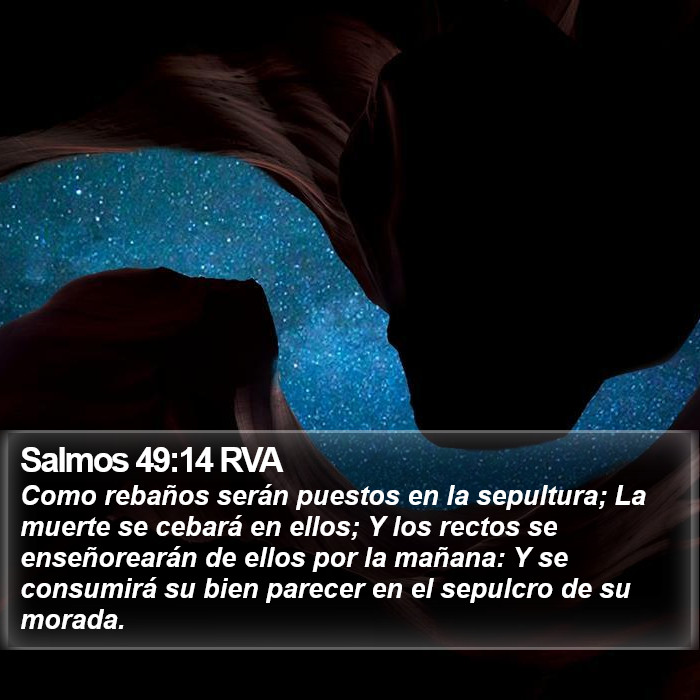 Salmos 49:14 RVA Bible Study