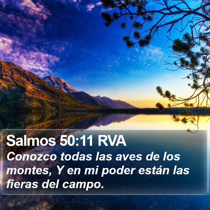 Salmos 50:11 RVA Bible Study