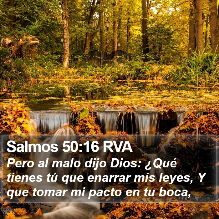 Salmos 50:16 RVA Bible Study