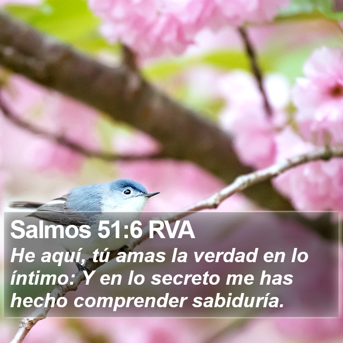 Salmos 51:6 RVA Bible Study