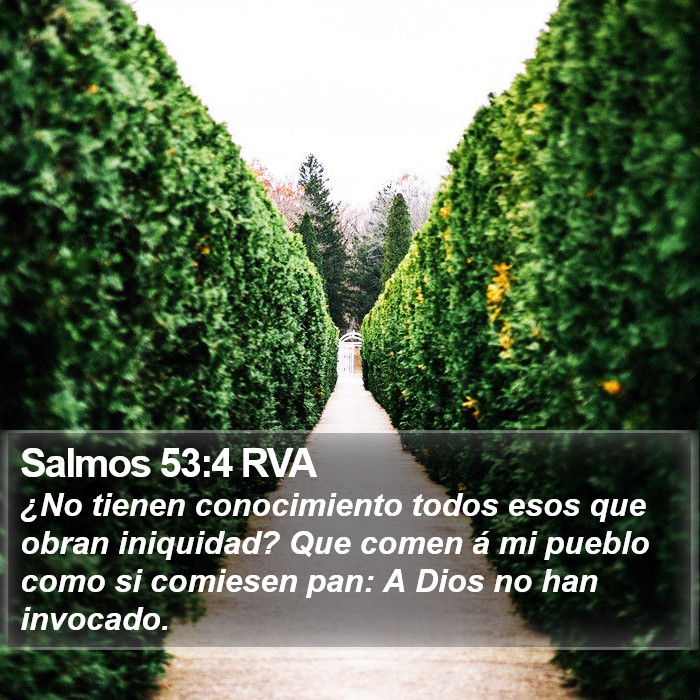 Salmos 53:4 RVA Bible Study