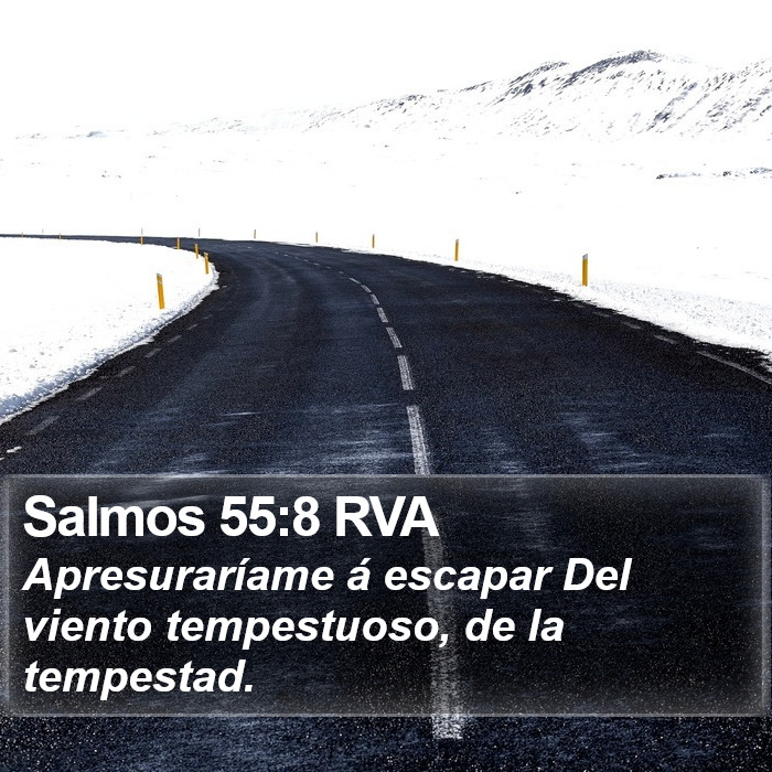 Salmos 55:8 RVA Bible Study