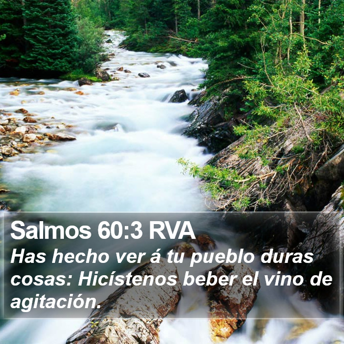 Salmos 60:3 RVA Bible Study