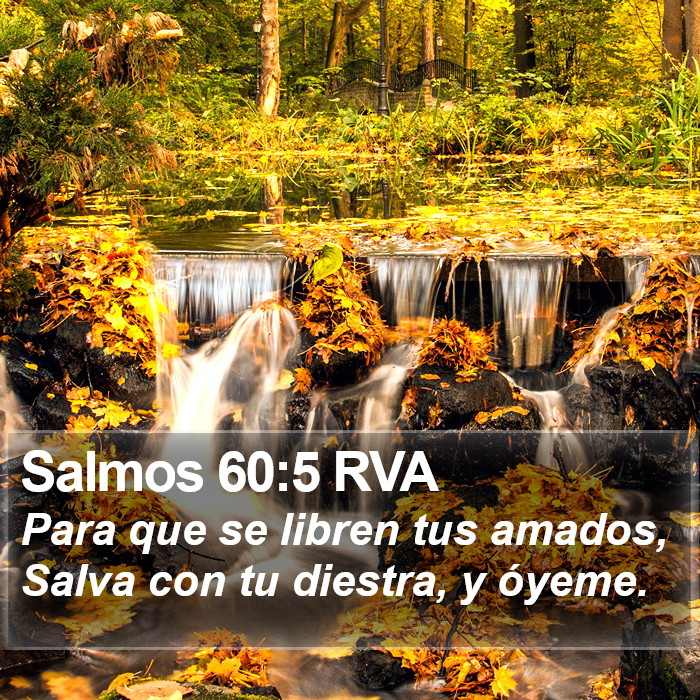 Salmos 60:5 RVA Bible Study