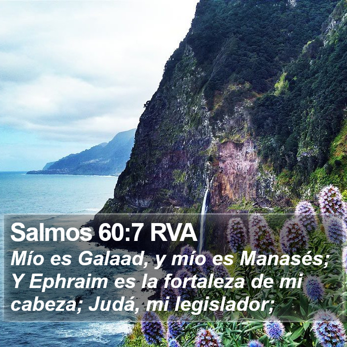 Salmos 60:7 RVA Bible Study