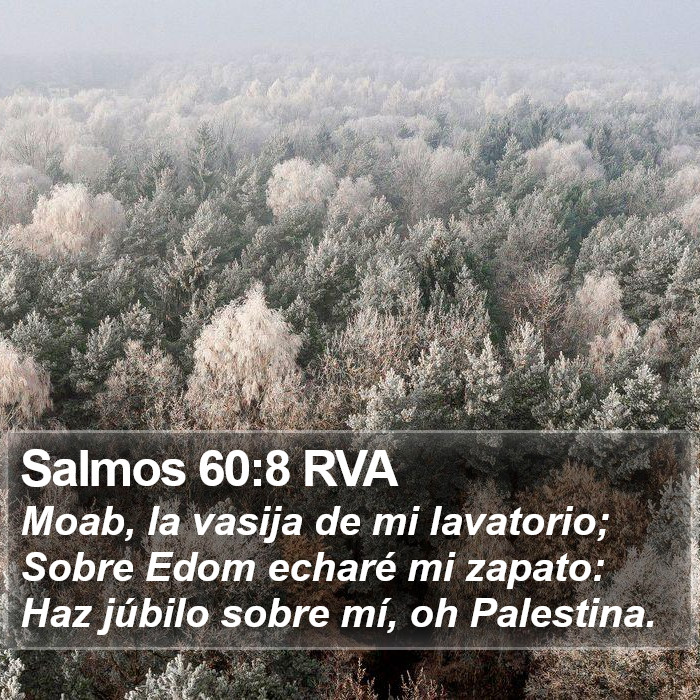 Salmos 60:8 RVA Bible Study