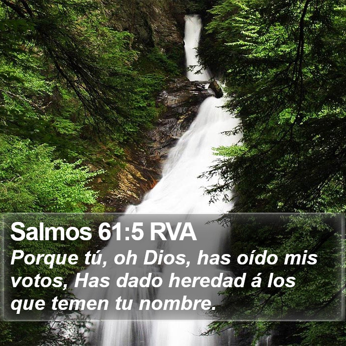 Salmos 61:5 RVA Bible Study