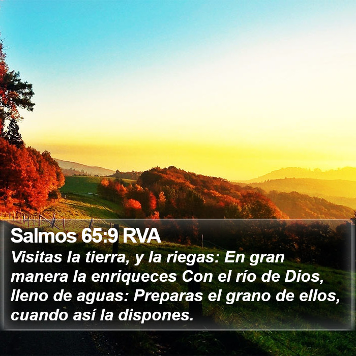 Salmos 65:9 RVA Bible Study