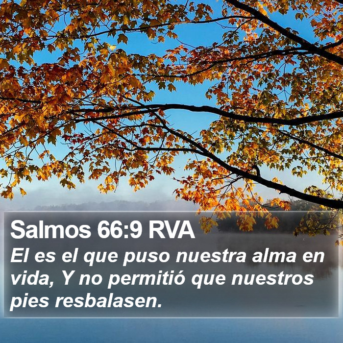 Salmos 66:9 RVA Bible Study