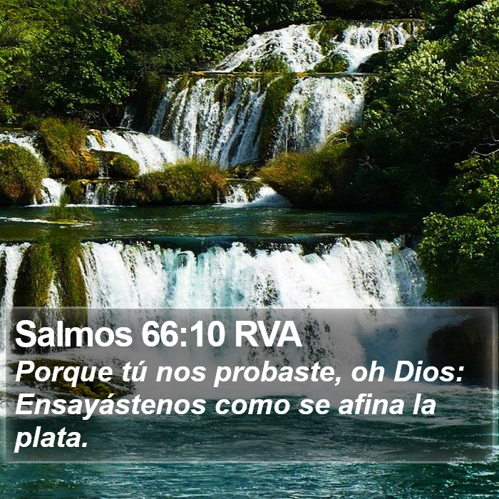 Salmos 66:10 RVA Bible Study