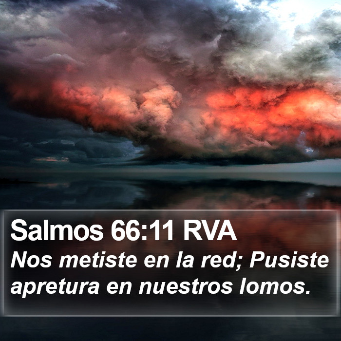 Salmos 66:11 RVA Bible Study